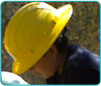 SBNFA Gallery Image 01